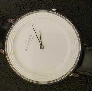 SKAGEN Minimalist Womens Watch